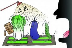 農(nóng)藥危害大？農(nóng)藥殘留檢測儀來幫忙