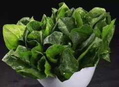 為什么要檢測植物葉綠素？